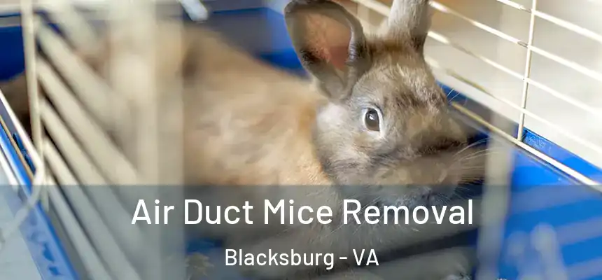  Air Duct Mice Removal Blacksburg - VA