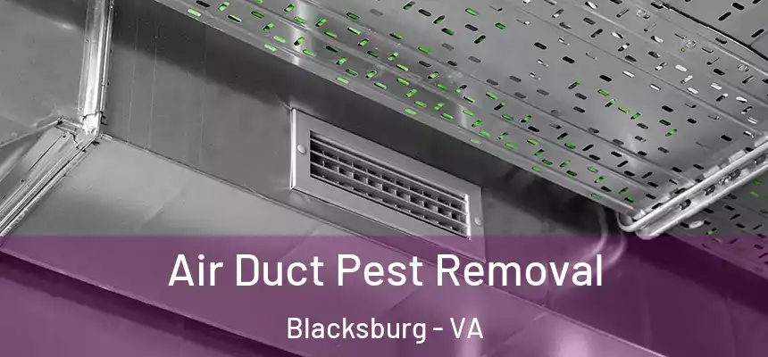 Air Duct Pest Removal Blacksburg - VA