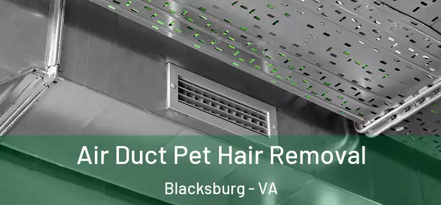 Air Duct Pet Hair Removal Blacksburg - VA
