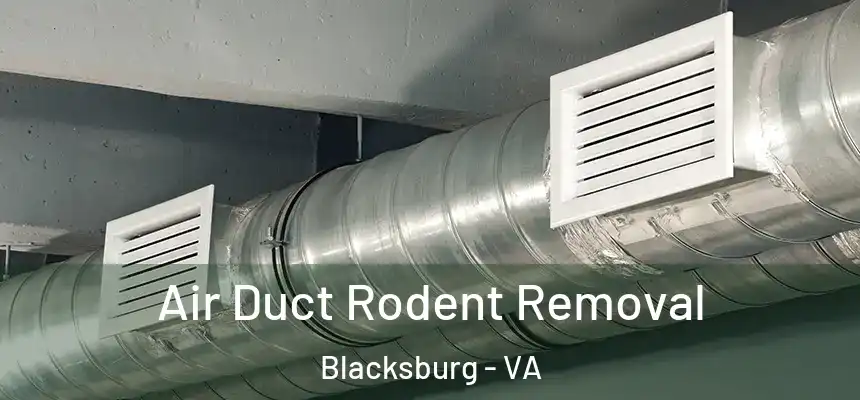 Air Duct Rodent Removal Blacksburg - VA