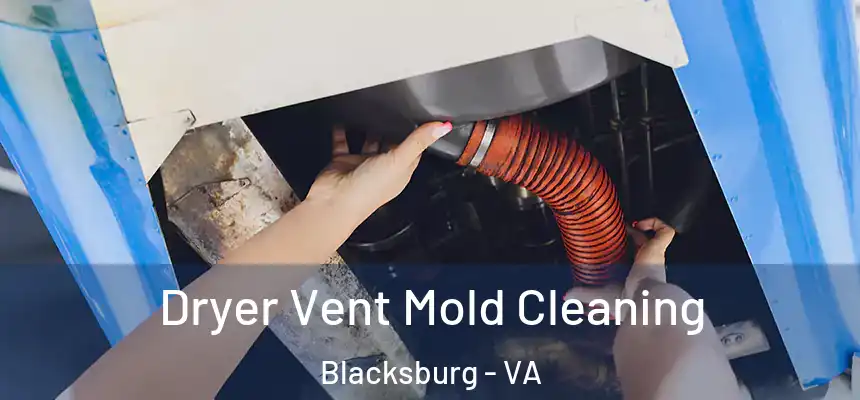 Dryer Vent Mold Cleaning Blacksburg - VA
