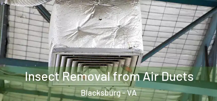  Insect Removal from Air Ducts Blacksburg - VA