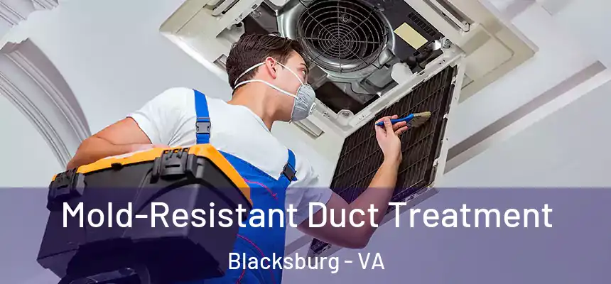  Mold-Resistant Duct Treatment Blacksburg - VA