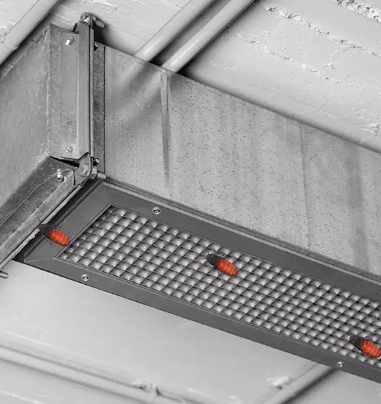 About Air Duct Cockroach Removal in Blacksburg, VA