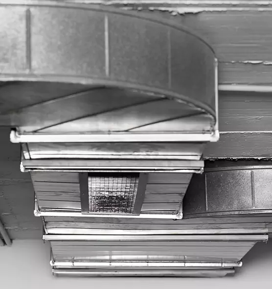 Professional Air Duct Pest Removal in Blacksburg, VA