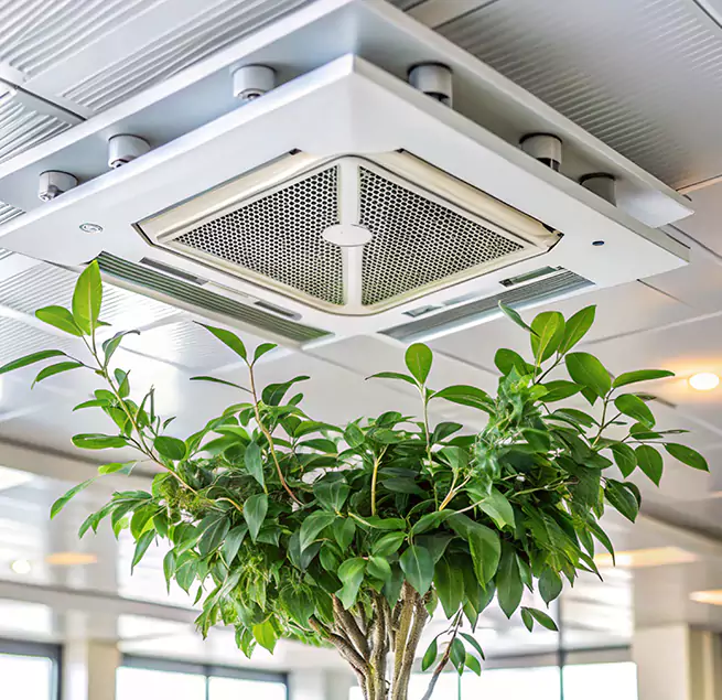 Why Homeowners & Businesses Trust Us in Blacksburg, VA?